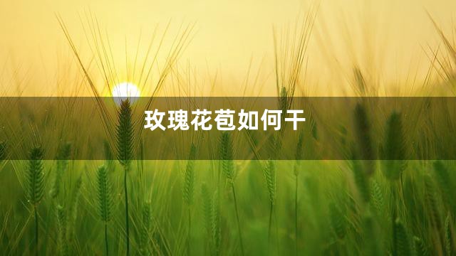 玫瑰花苞如何干