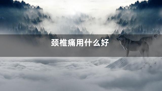 颈椎痛用什么好