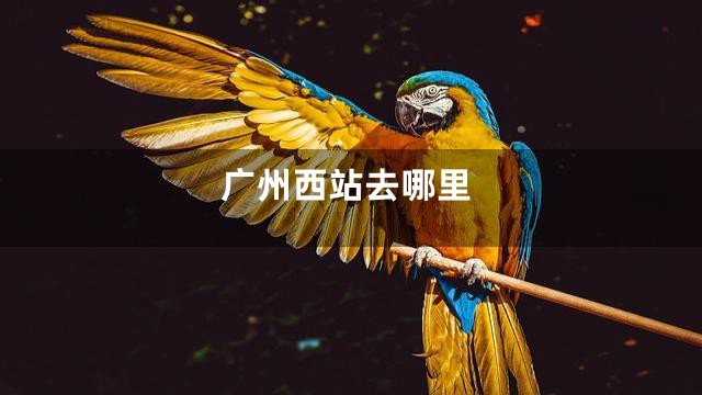 广州西站去哪里