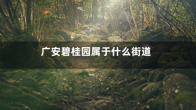 广安碧桂园属于什么街道