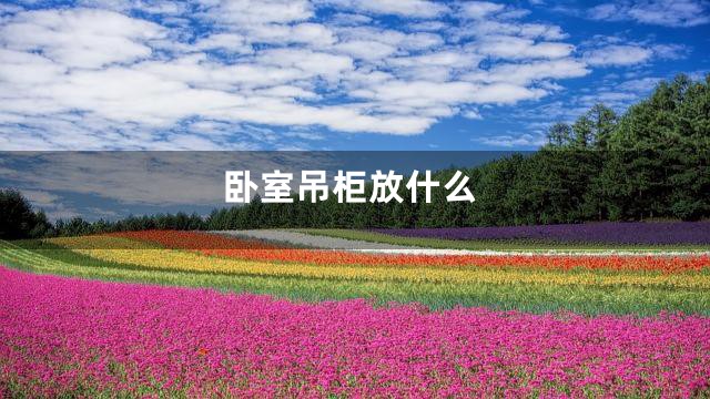 卧室吊柜放什么