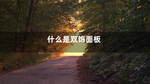 什么是双饰面板
