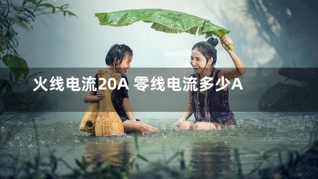火线电流20A 零线电流多少A