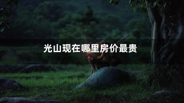 光山现在哪里房价最贵