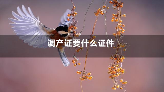调产证要什么证件