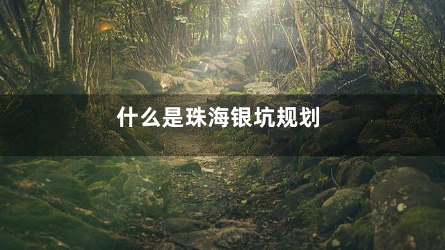什么是珠海银坑规划