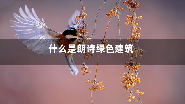 什么是朗诗绿色建筑