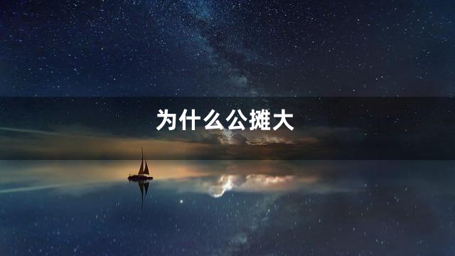 为什么公摊大