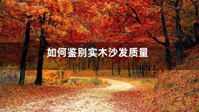 如何鉴别实木沙发质量