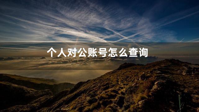个人对公账号怎么查询