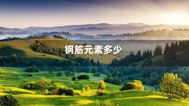 钢筋元素多少