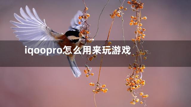 iqoopro怎么用来玩游戏
