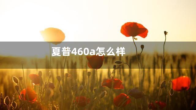 夏普460a怎么样