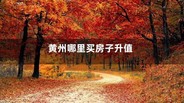黄州哪里买房子升值