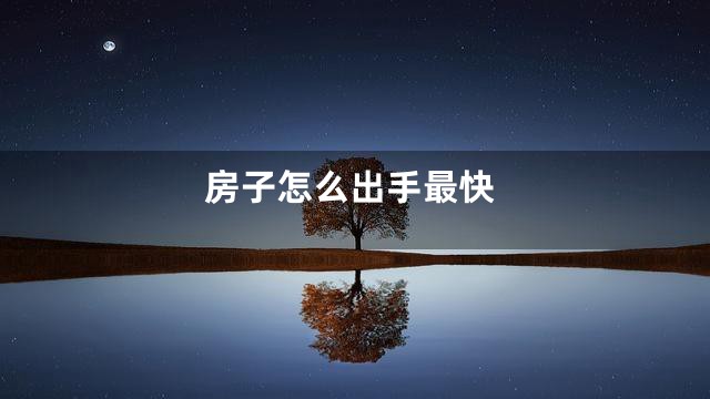 房子怎么出手最快