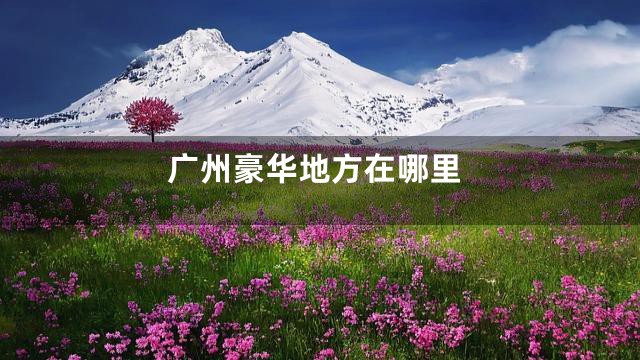 广州豪华地方在哪里