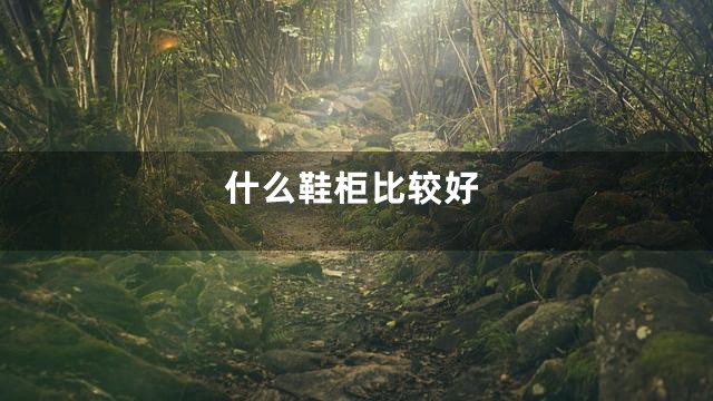 什么鞋柜比较好