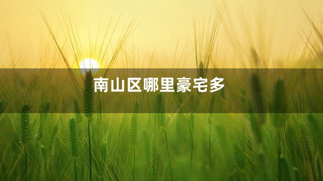 南山区哪里豪宅多