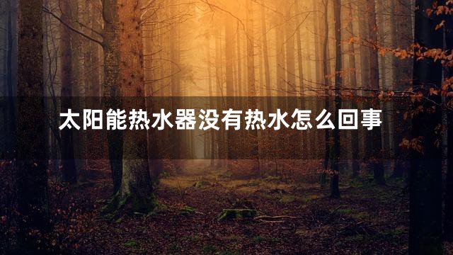 太阳能热水器没有热水怎么回事