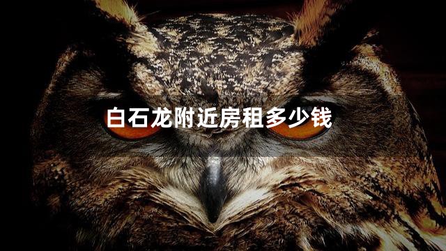白石龙附近房租多少钱
