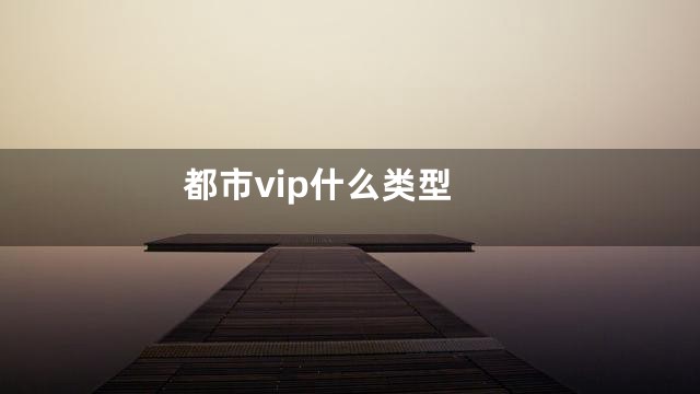 都市vip什么类型