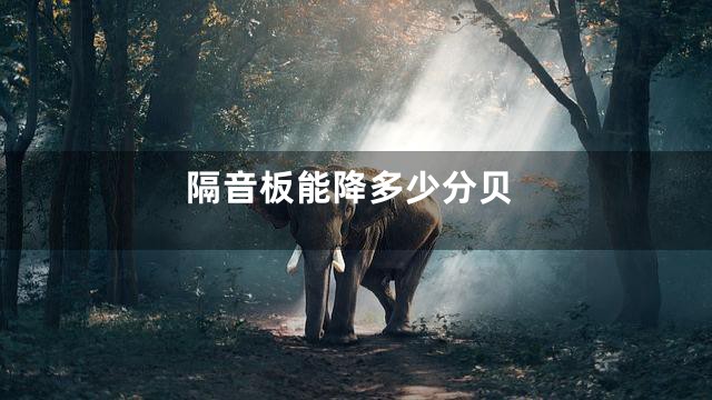 隔音板能降多少分贝