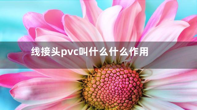 线接头pvc叫什么什么作用