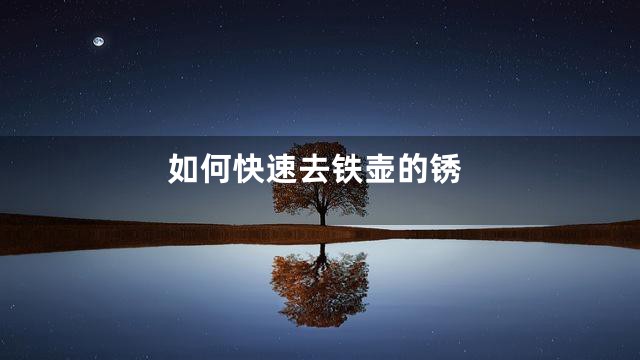 如何快速去铁壶的锈