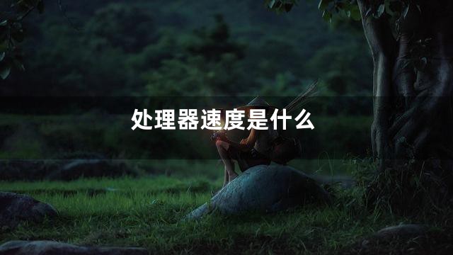 处理器速度是什么