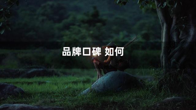 品牌口碑 如何