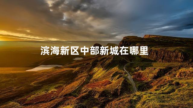 滨海新区中部新城在哪里