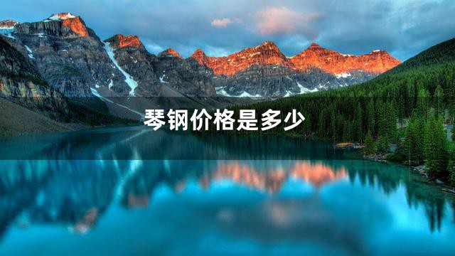 琴钢价格是多少