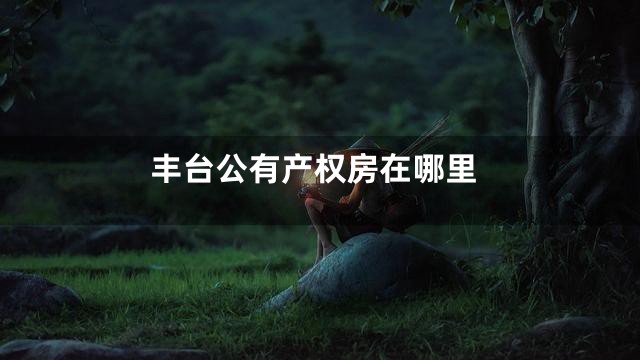 丰台公有产权房在哪里