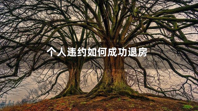 个人违约如何成功退房