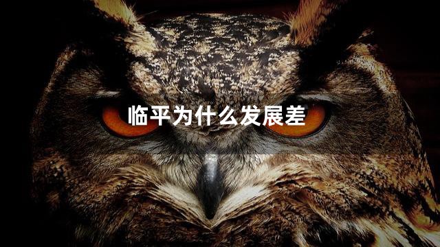 临平为什么发展差