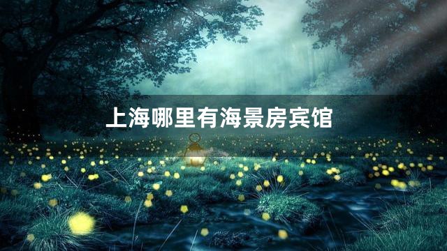 上海哪里有海景房宾馆