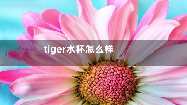 tiger水杯怎么样