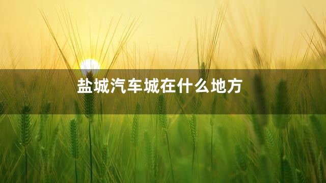 盐城汽车城在什么地方