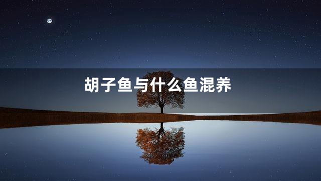 胡子鱼与什么鱼混养