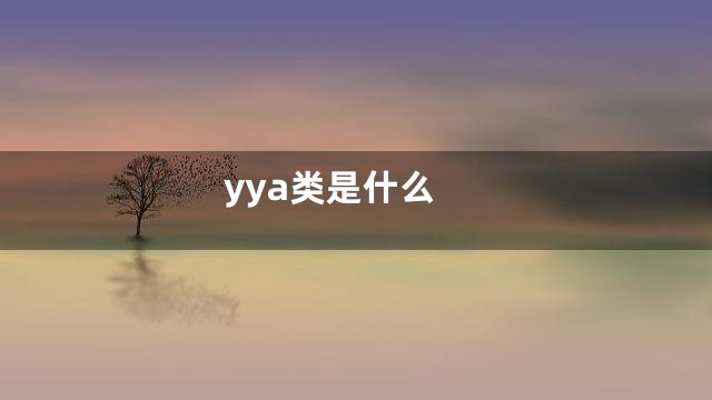 yya类是什么