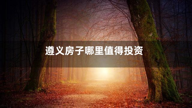遵义房子哪里值得投资