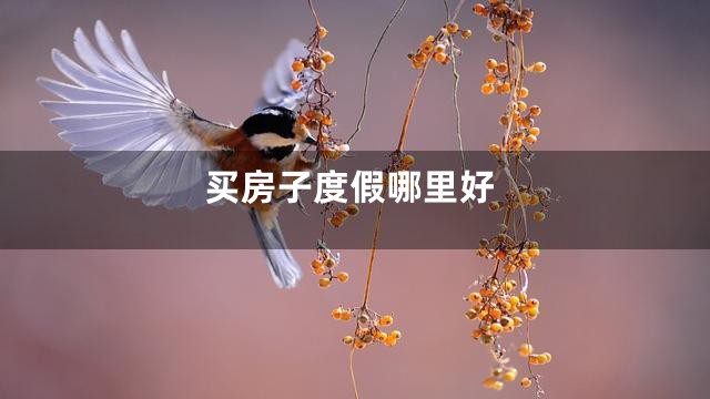 买房子度假哪里好