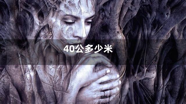 40公多少米