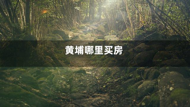 黄埔哪里买房