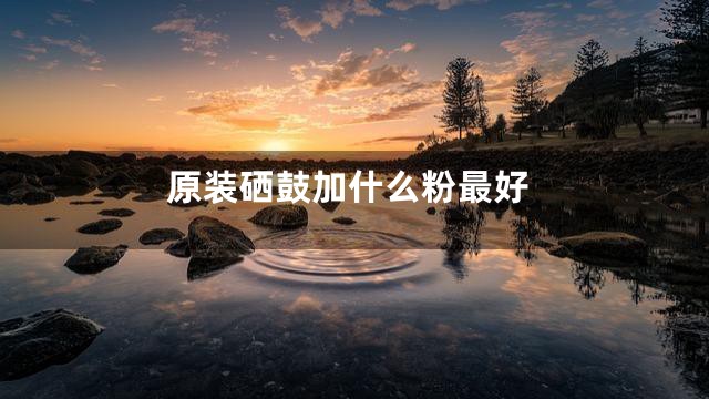 原装硒鼓加什么粉最好