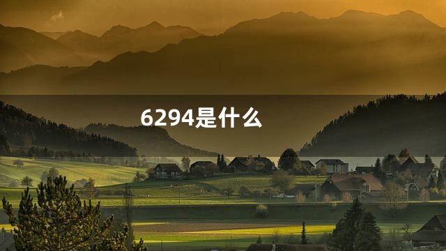 6294是什么
