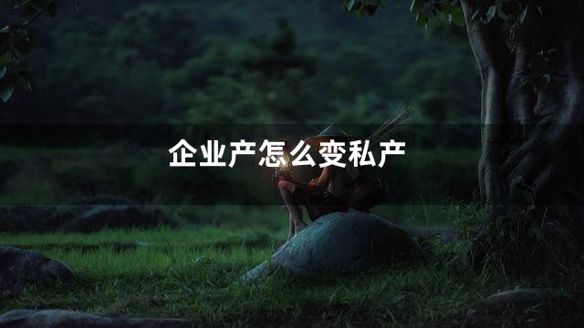 企业产怎么变私产