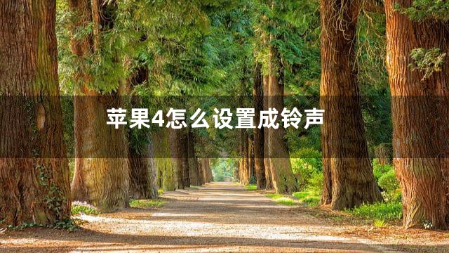苹果4怎么设置成铃声