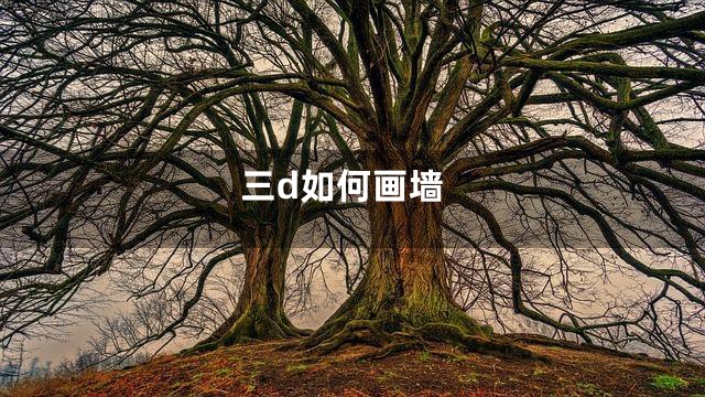 三d如何画墙