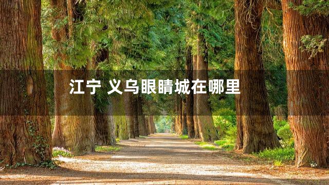 江宁 义乌眼睛城在哪里
